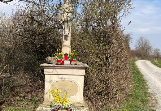 20220325073924-bc85678c